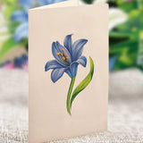Lilies & Lupines