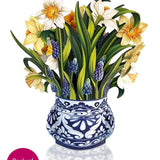 Mini English Daffodil