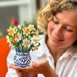 Mini English Daffodil