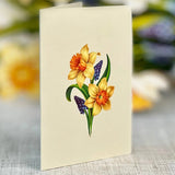 Mini English Daffodil