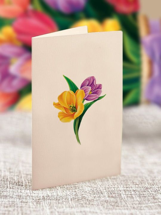 Mini Festive Tulips - FreshCut Paper
