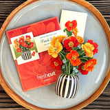 Mini French Poppies
