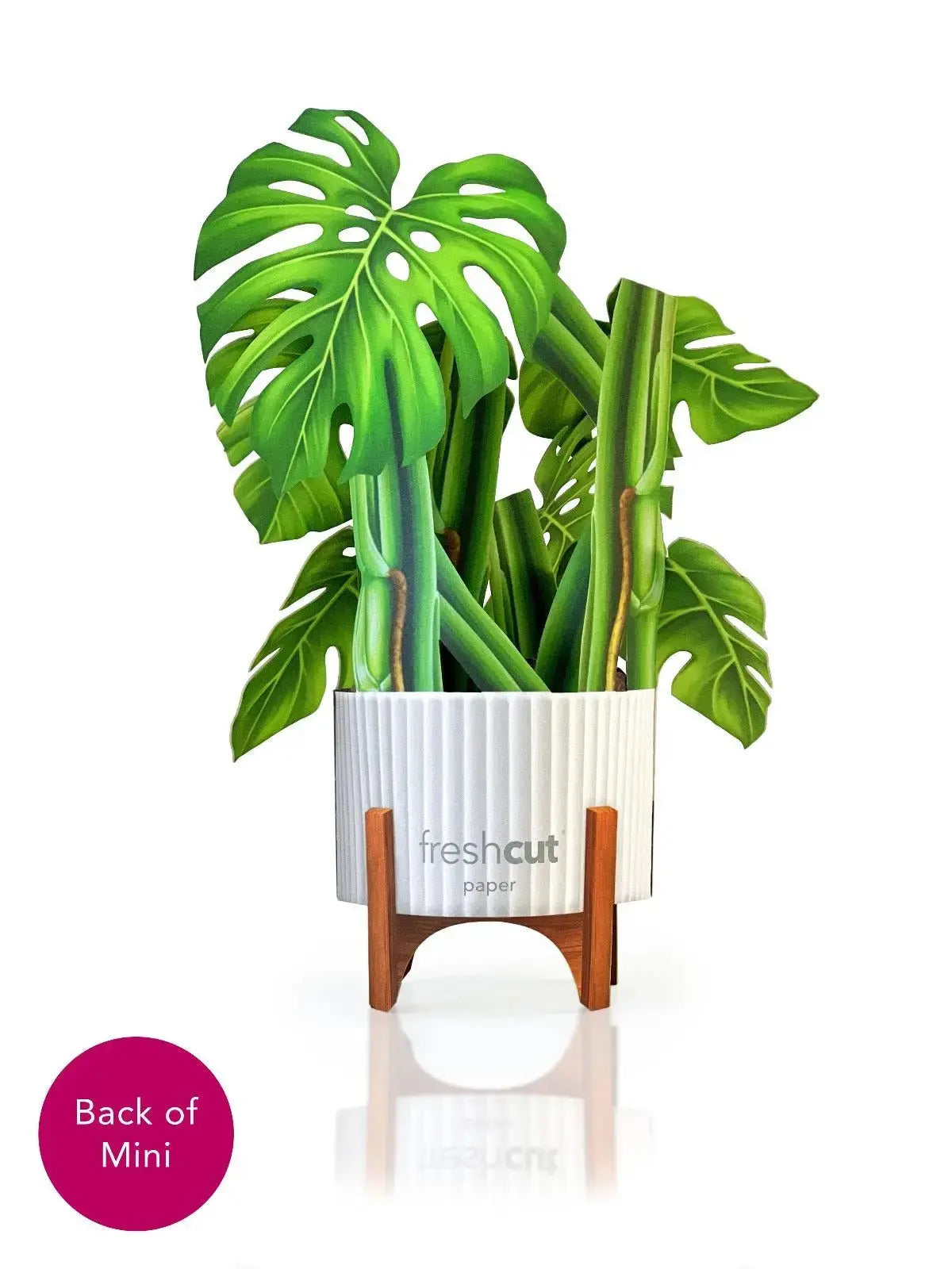 buy mini monstera Mini Monstera Pop-Up Card