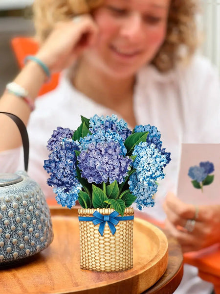 mini-nantucket-hydrangeas-