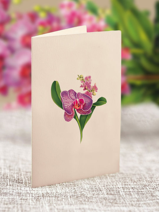 Mini Orchid Oasis - FreshCut Paper