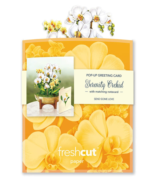 Mini Serenity Orchid - FreshCut Paper