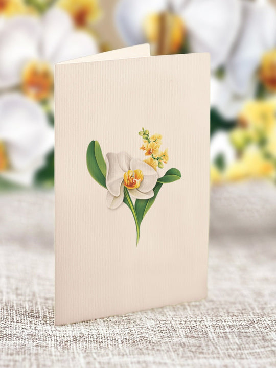 Mini Serenity Orchid - FreshCut Paper