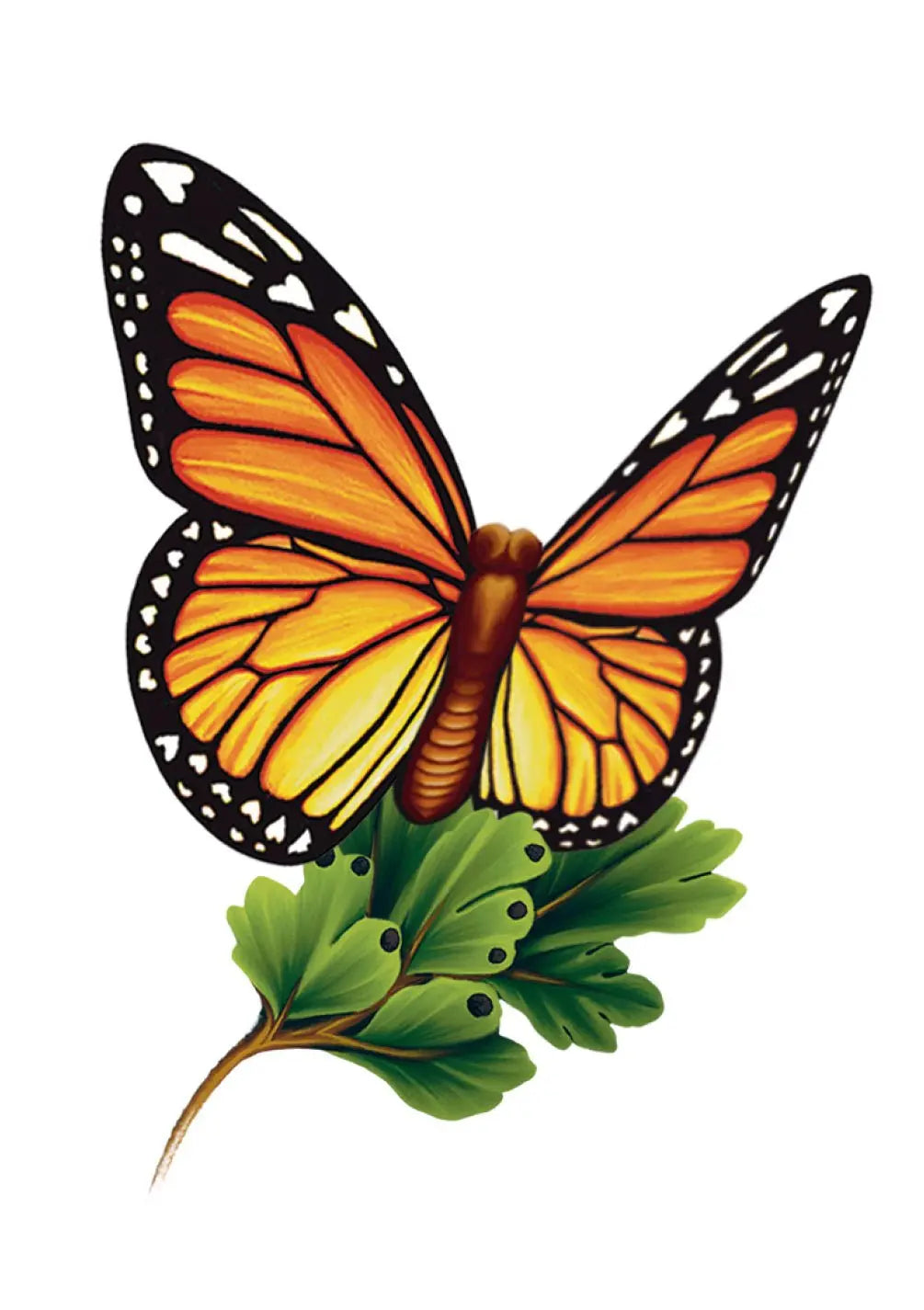 Monarch Butterfly Card - FreshCut Paper