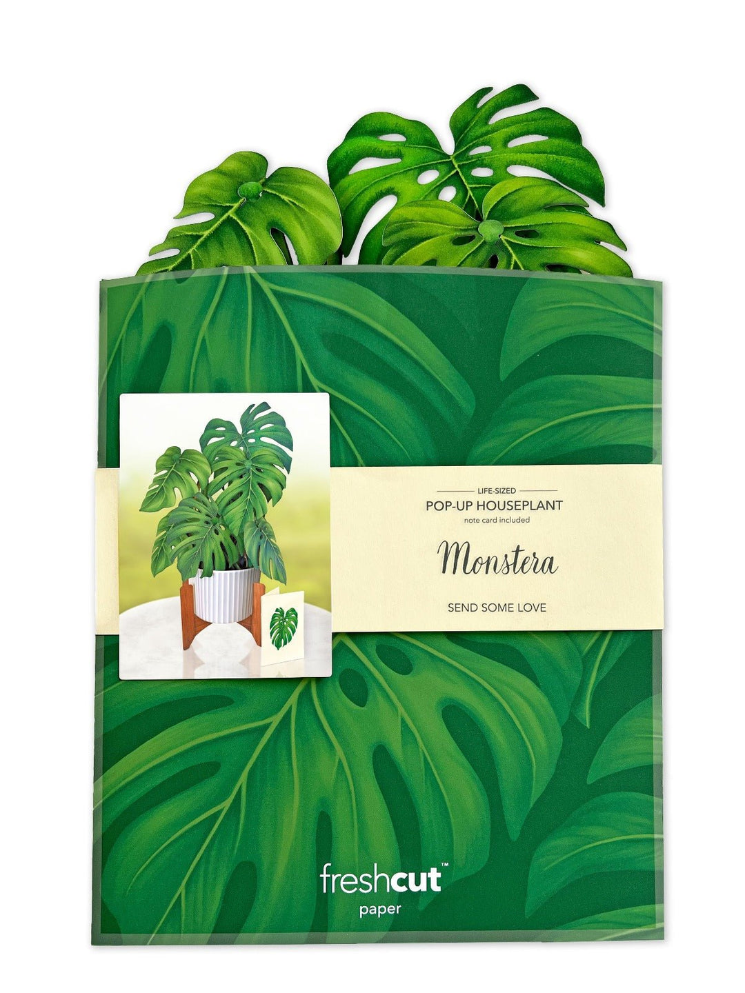 Monstera Plant - FreshCut Paper