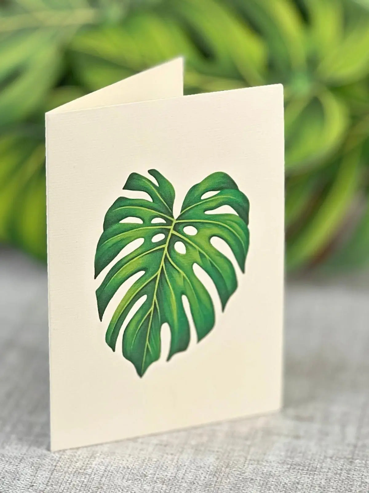 paper monstera plant Monstera Plant Pop-Up Card