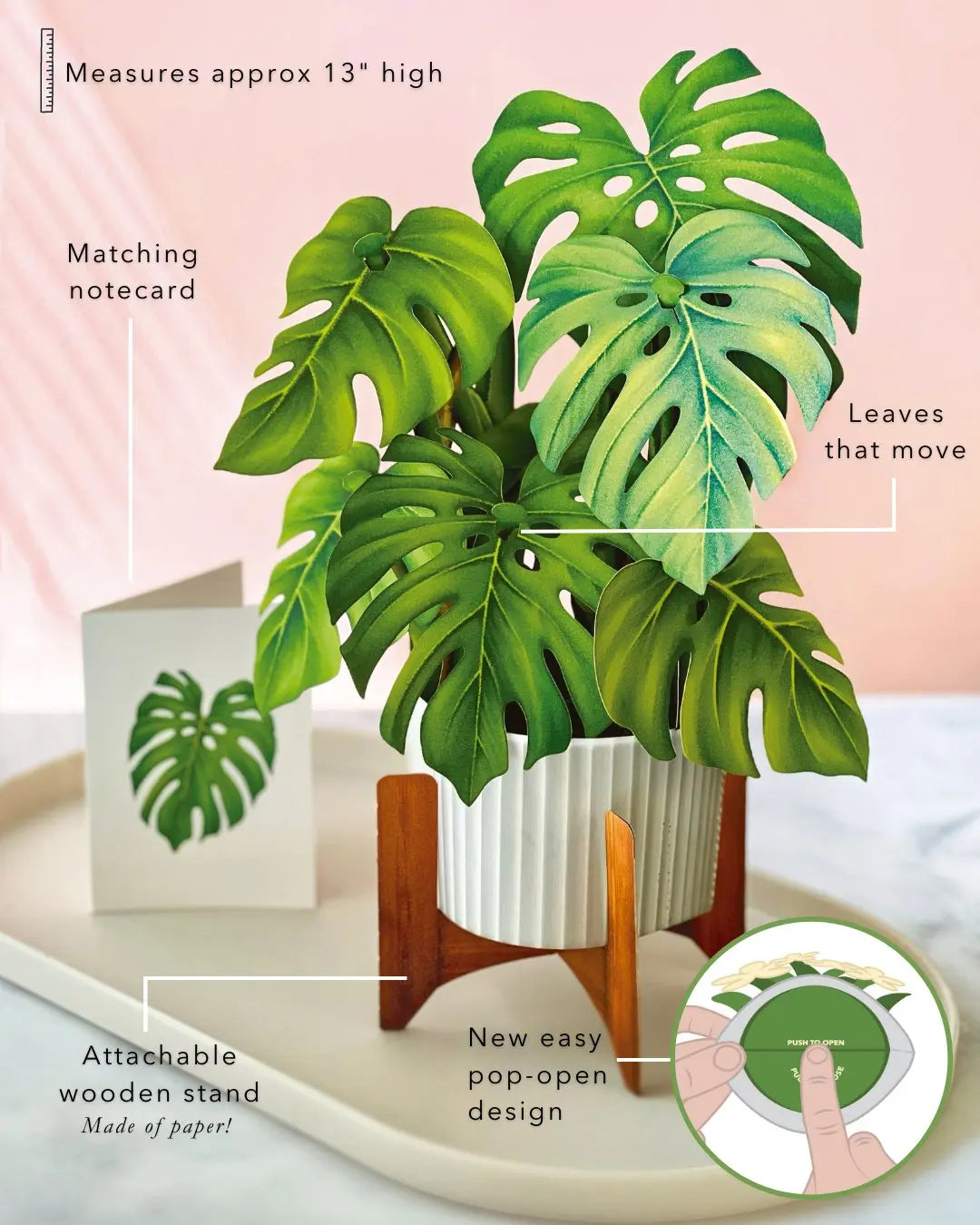 monstera plant shop Monstera Plant Pop-Up Card