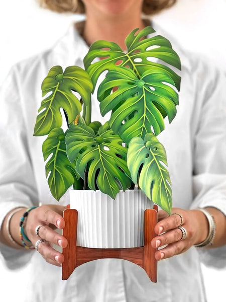 monstera deliciosa draft Monstera Plant Pop-Up Card