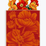 French Poppies