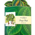 Prayer Plant - FreshCut Paper
