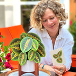 Prayer Plant - FreshCut Paper
