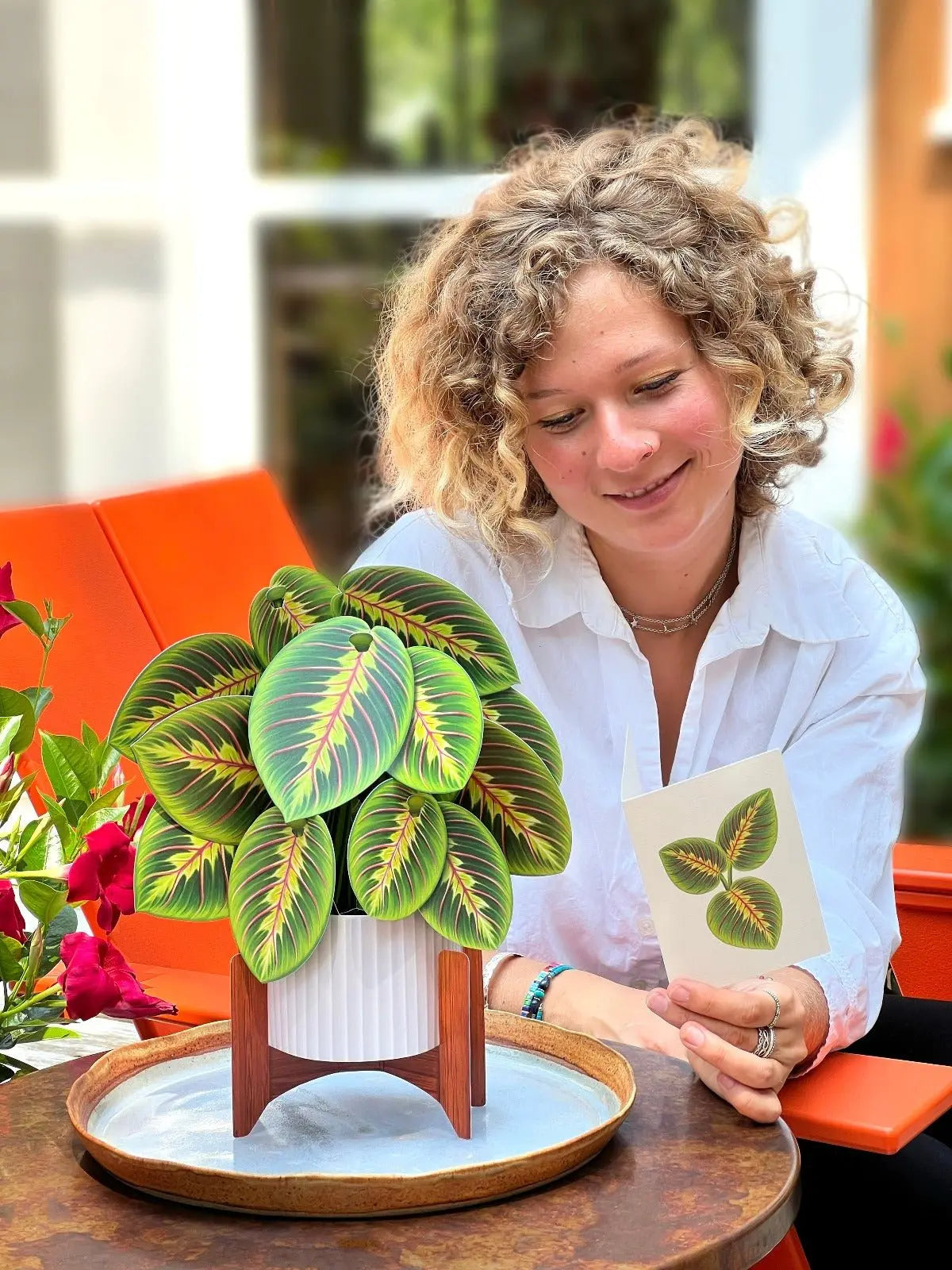 prayer plant seed pod Prayer Plant Pop-Up Bouquet