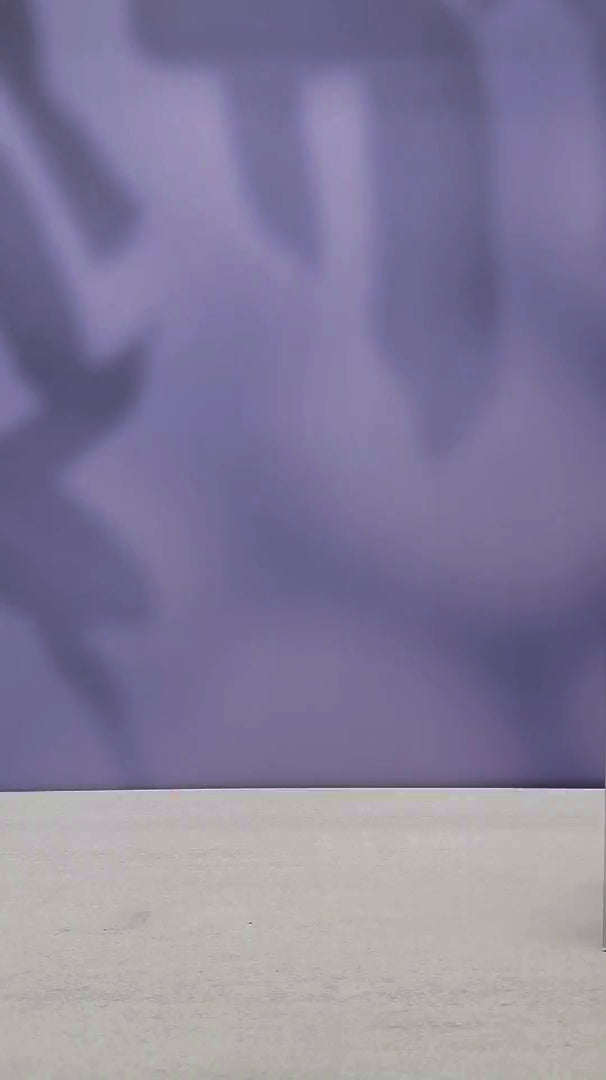 Ragdoll Pop-Up Cat Card Video