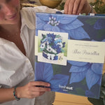 Blue Poinsettia Unboxing Video
