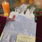 Woodland Wonderland Advent Calendar unboxing video