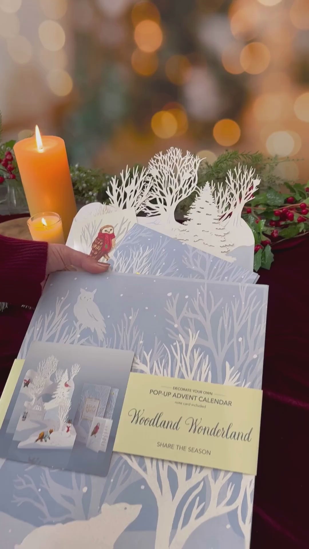 Woodland Wonderland Advent Calendar unboxing video