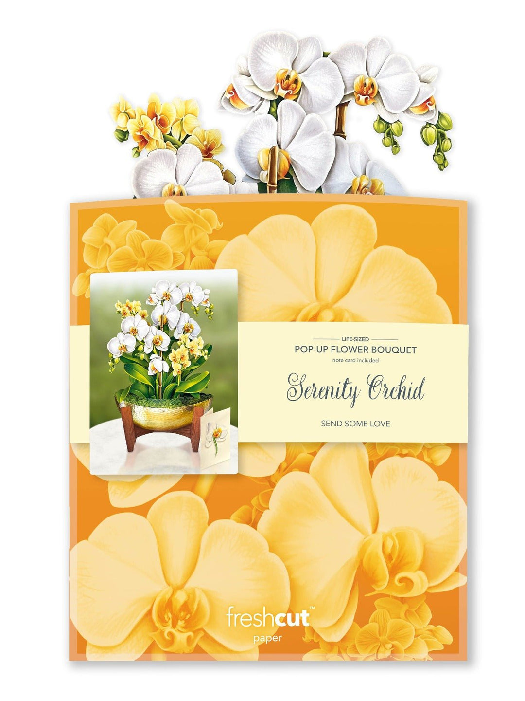 Serenity Orchid - FreshCut Paper
