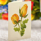 Sorbet Roses