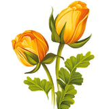 Sorbet Roses Card - FreshCut Paper