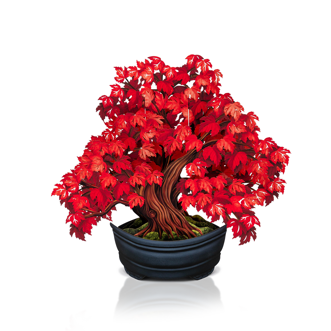 Grande Bouquet Lifesize Popup 3D Paper Flowers FreshCut Paper Grande bouquet lifesize popup 3d paper flowers freshcut paper