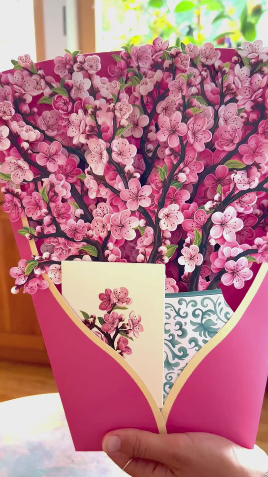 Watch our FreshCut Paper Cherry Blossom unfold as our paper flowers to come to life. More than a greeting card, our flowers are always FreshCut Paper that never wilt, fade or require water.