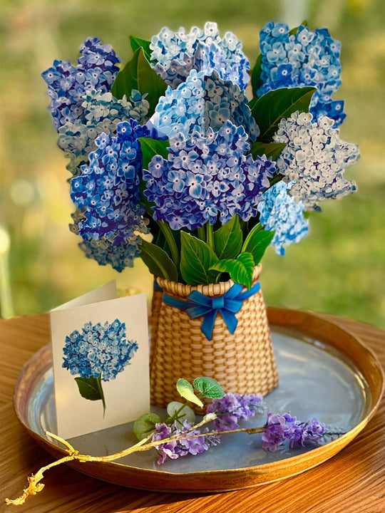  Our FreshCut Paper Nantucket Hydrangeas come ready to present in their own festive blue vase. More than a greeting card, our flowers are always FreshCut Paper that never wilt, fade or require water.