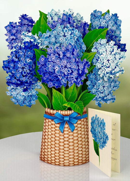 FreshCut Paper "Nantucket Hydrangeas" measure 12'' tall by 9" wide. Our stunning life sized, 3D pop up flowers include paper vase, matching note card and festive mailing envelope.
