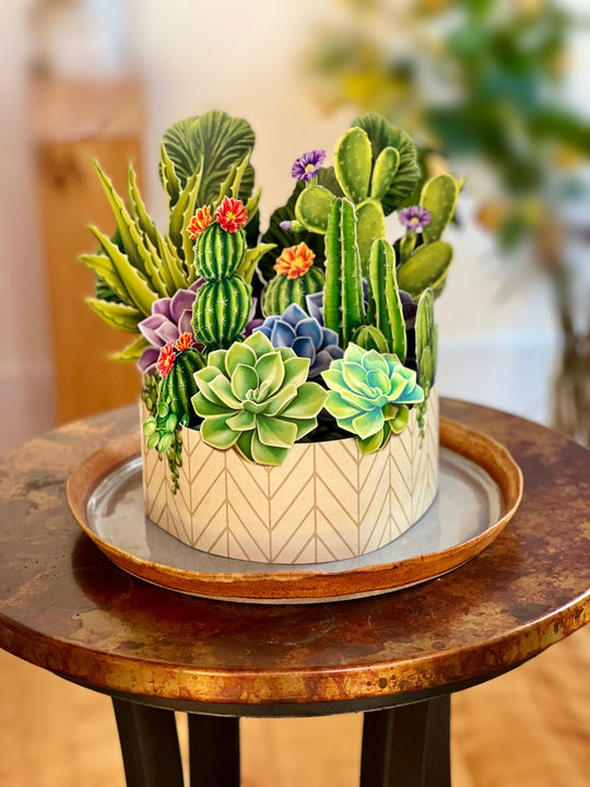 FreshCut Paper "Cactus Garden" measure 12'' tall by 9" wide. Our stunning life sized, 3D pop up flowers include paper vase, matching note card and festive mailing envelope.