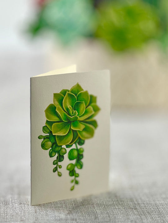 FreshCut Paper's 3D pop up Cactus Garden paper flower bouquet include a matching 2.75" x 8" note card so you may write your own personal message to your gift recipient.