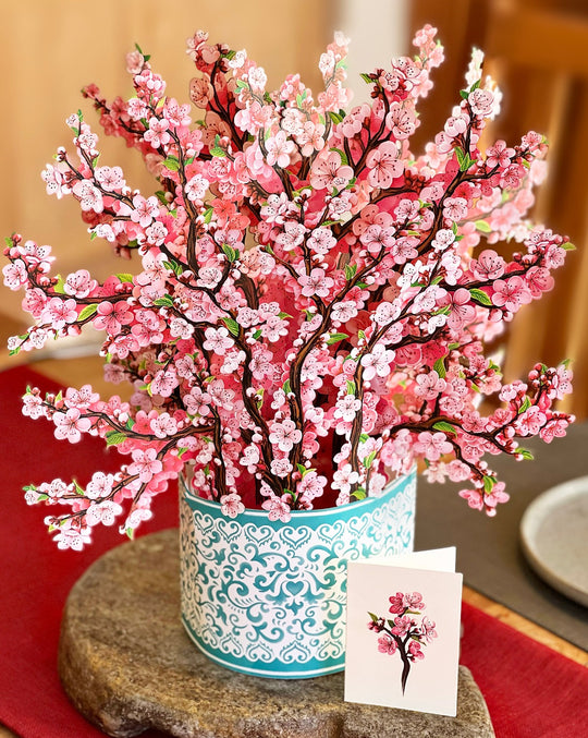 Grande Cherry Blossoms